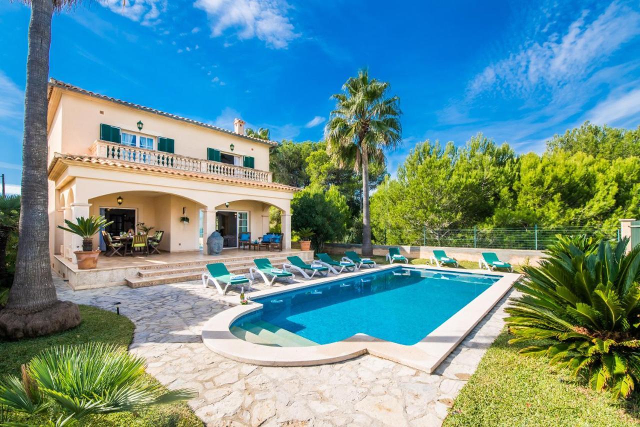 Ideal Property Mallorca - Didi Alcúdia Exterior foto